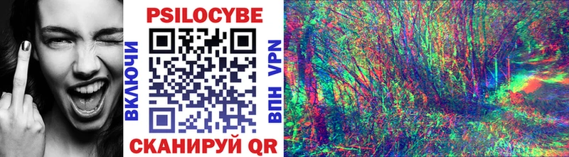 Купить закладки  Нижние Серги  Псилоцибиновые грибы прущие грибы 