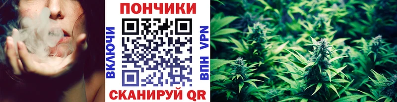 Бошки марихуана White Widow  Купить  Нижние Серги 